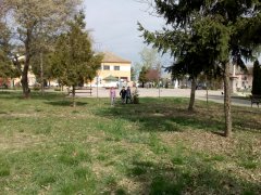 IMG_20190319_102413.jpg